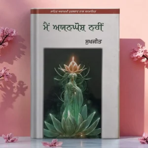 Main Ayengosh Nahi
